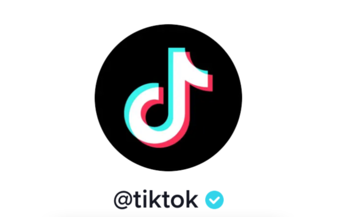 Como verificar sua conta no TikTok Brasil