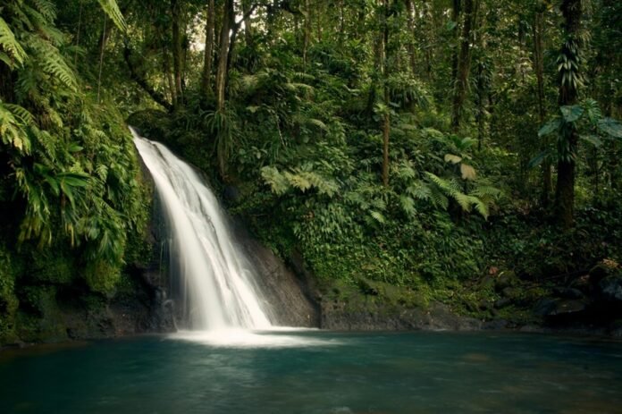 Ecoturismo combina contato com a natureza e sustentabilidade