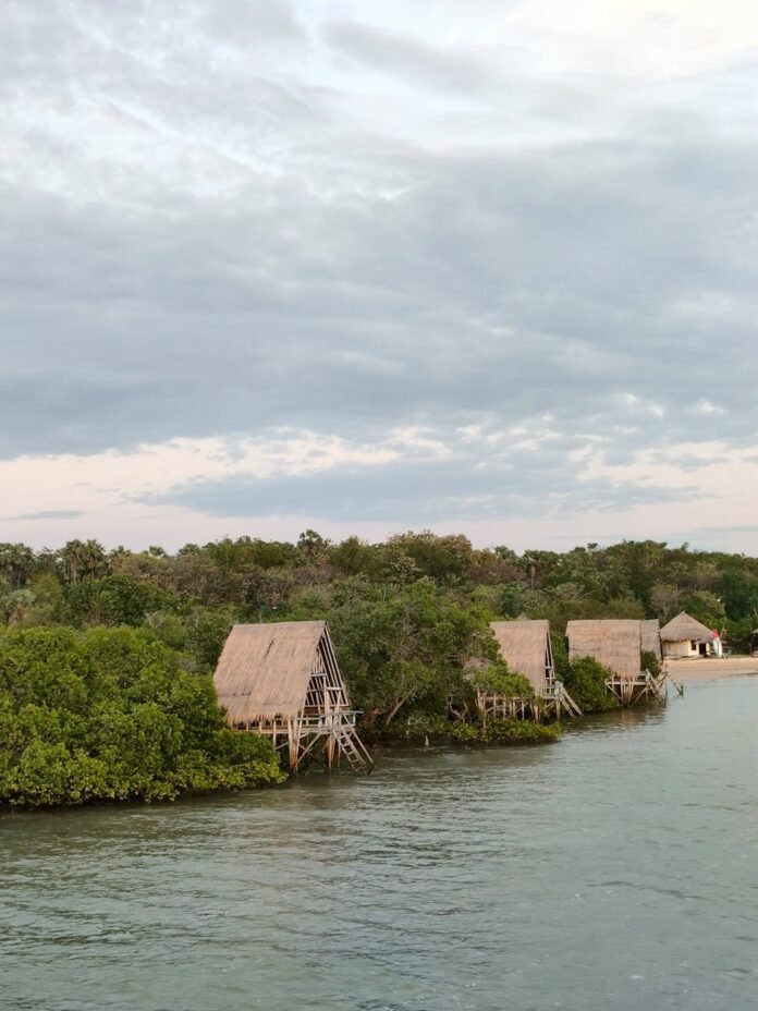 wooden cottage at amazon river