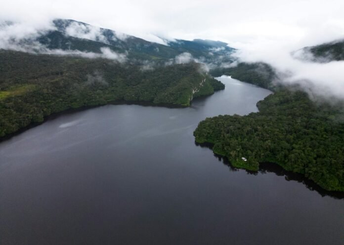 aerial view of the amazon river in peru