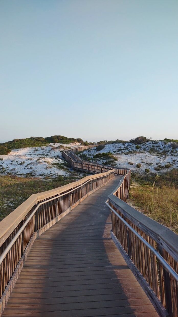wooden boardwalk in countryside