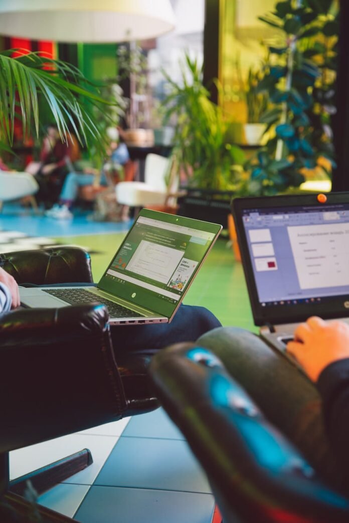 photo of people using laptop