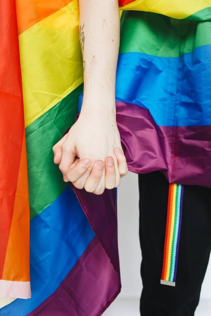 people with a gay pride flag holfing hands