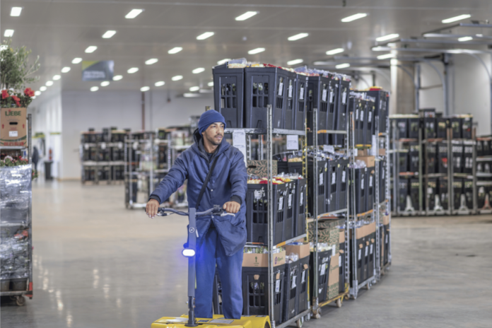 Gestão de dados impulsiona cooperativa e ganha projeção
