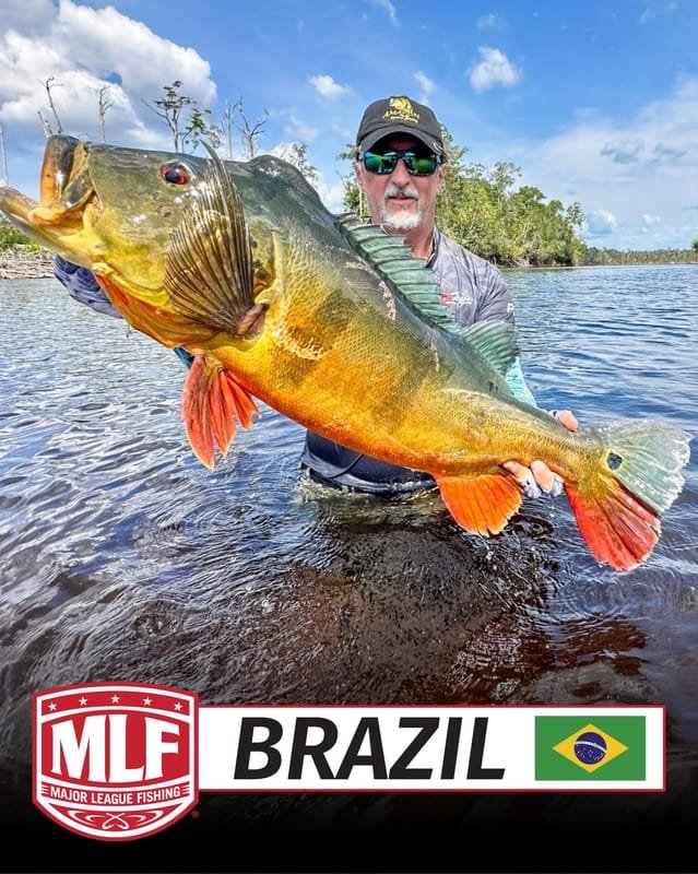 8b278fe8 f425 4fd7 be1c b6f547b0cf48 MLF anuncia entrada no Brasil em 2027