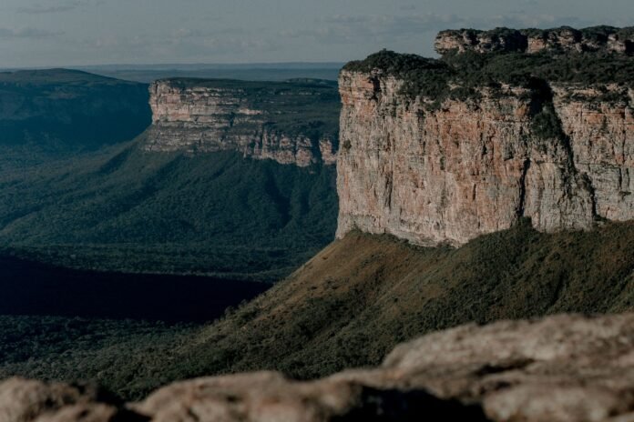 a chapada diamantina national park with green trees